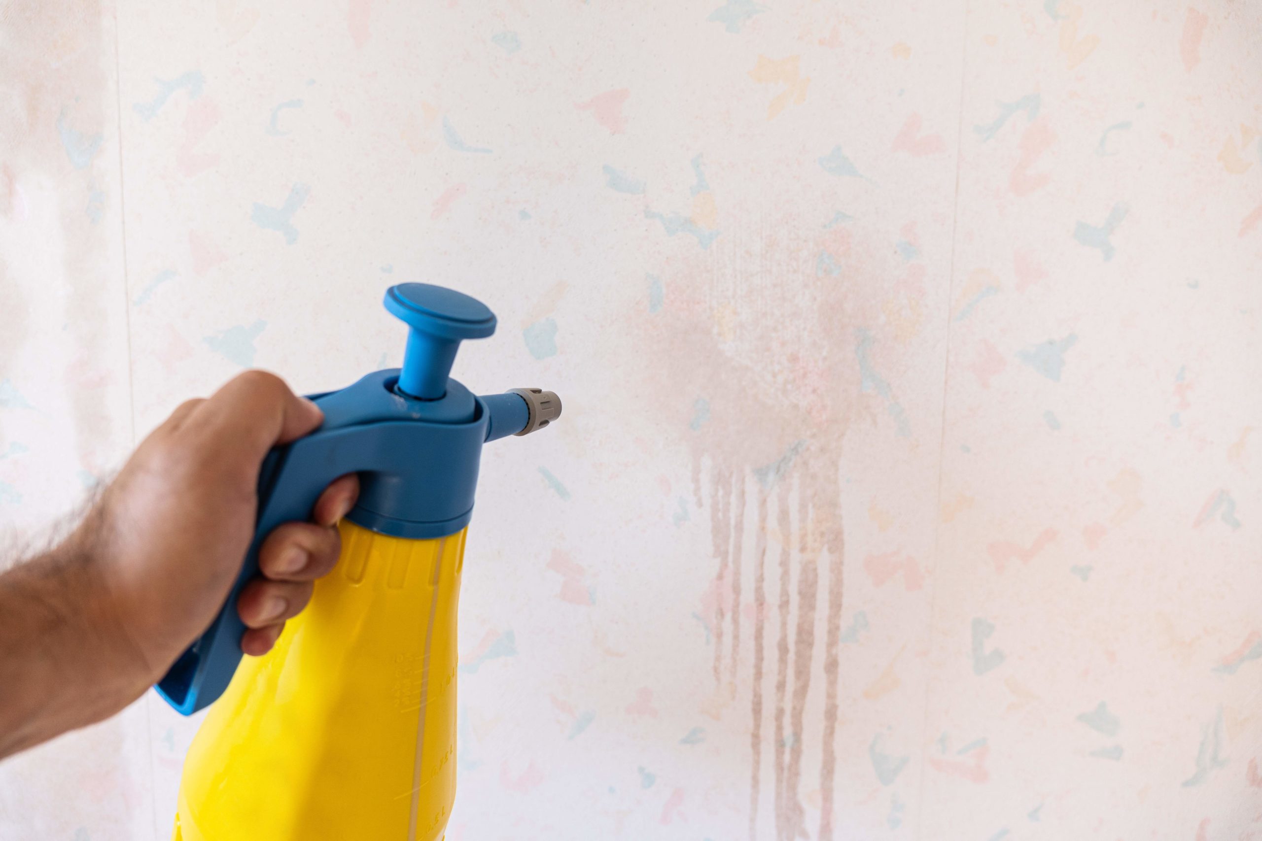 remove wallpaper, removing wallpaper, wallpaper remover, how to remove wallpaper, wallpaper steamer, steamer for wallpaper, best way to remove wallpaper, tool for removing wallpaper, wallpaper removal tool, remove wallpaper with steamer, steam wallpaper removal, wallpaper removal steamer, easy way to remove wallpaper